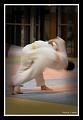judo1