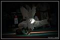 judo6