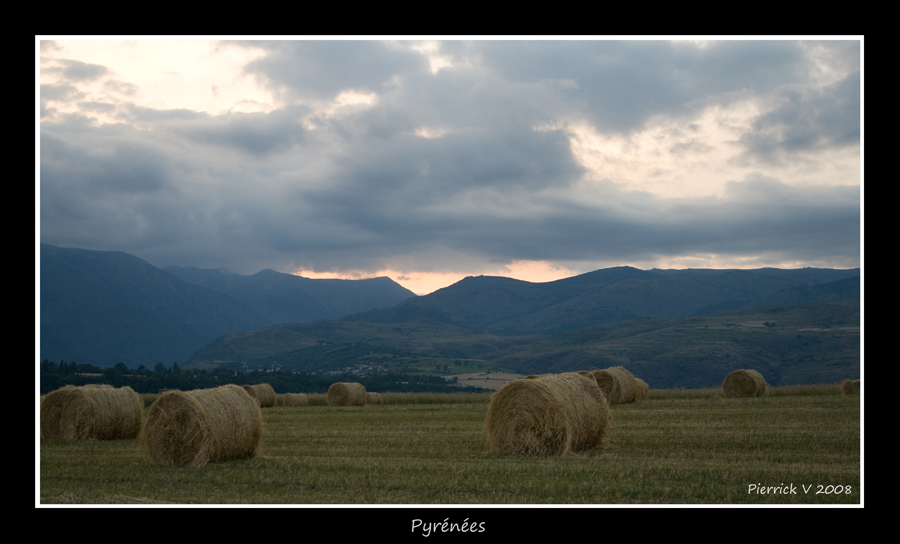 pyrénées.jpg