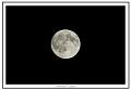 Lune