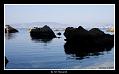 ile_st_Honorat
