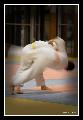 Judo